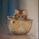 Original oil painting BOWL KITTEN by Magdalena Luna