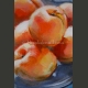 Detail of 'Plate of apricots' by Magdalena Luna